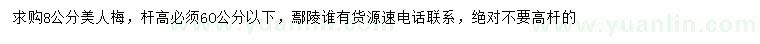 求購8公分美人梅