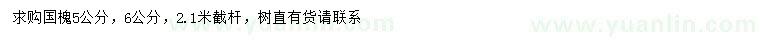 求購(gòu)5、6公分國(guó)槐