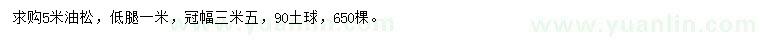 求購(gòu)5米油松