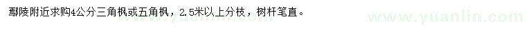 求購4公分三角楓或五角楓