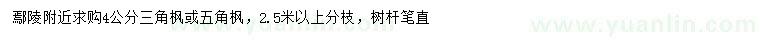 求購4公分三角楓、五角楓