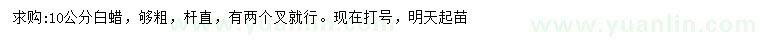 求購(gòu)10公分白蠟