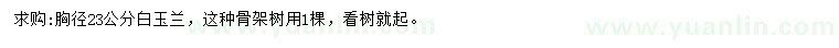 求購(gòu)胸徑23公分白玉蘭