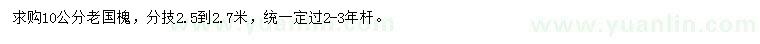 求購10公分老國槐