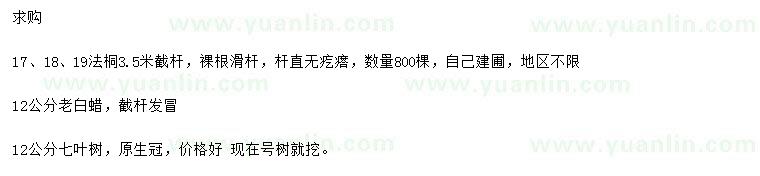 求購法桐、老白蠟、七葉樹