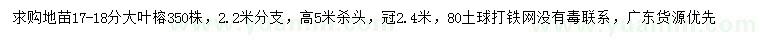 求購17-18公分大葉榕