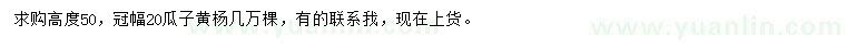 求購高50公分瓜子黃楊