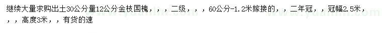 求購出土30公分量12公分金枝國槐