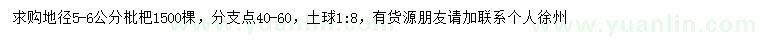 求購(gòu)地徑5-6公分枇杷