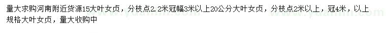 求購15公分大葉女貞