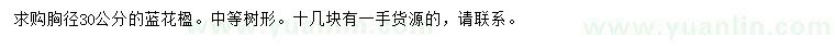 求購(gòu)胸徑30公分藍(lán)花楹