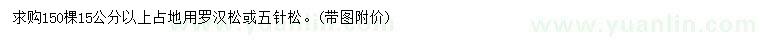 求購15公分以上羅漢松、五針松