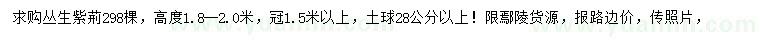 求購高1.8-2米叢生紫荊