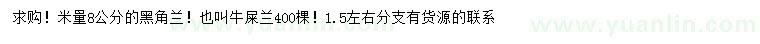 求購米徑8公分黑角蘭