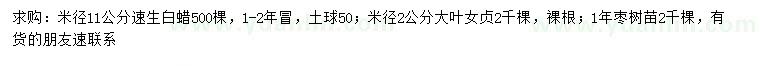求購白蠟、大葉女貞、棗樹