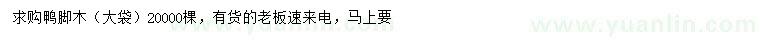 求購鴨腳木