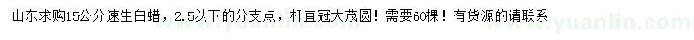 求購(gòu)15公分速生白蠟