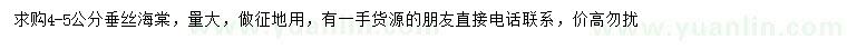 求購4-5公分垂絲海棠