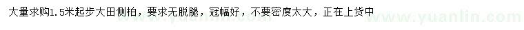 求購1.5米以上側(cè)柏