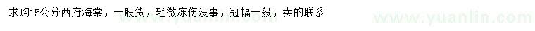 求購(gòu)15公分西府海棠