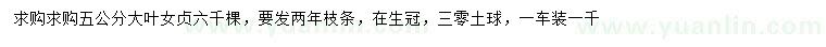 求購5公分大葉女貞