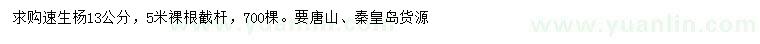 求購13公分速生楊