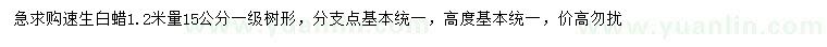 求購(gòu)1.2米量15公分速生白蠟