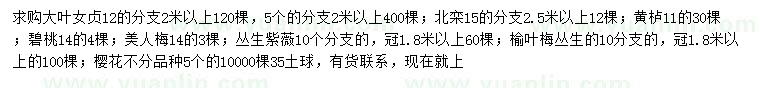 求購大葉女貞、北欒、黃櫨等