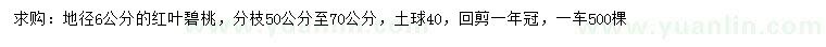 求購(gòu)地徑6公分紅葉碧桃