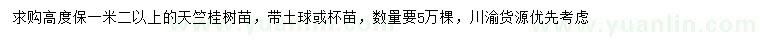 求購高1.2米以上天竺桂