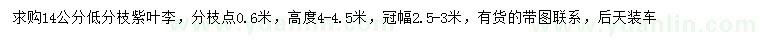求購14公分紫葉李