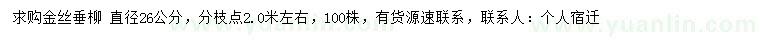 求購直徑26公分金絲垂柳