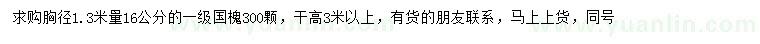 求購16公分國槐
