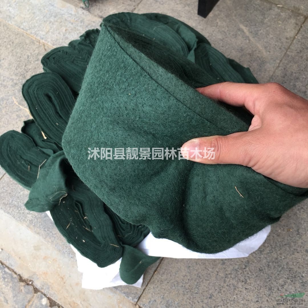 缠树保温棉哪里有?裹树防冻棉布价格?保温裹树布供应商?