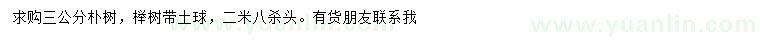 求購(gòu)3公分樸樹(shù)