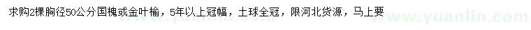 求購胸徑50公分國槐、金葉榆