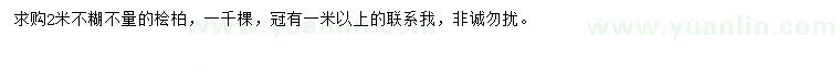 求購(gòu)2米檜柏
