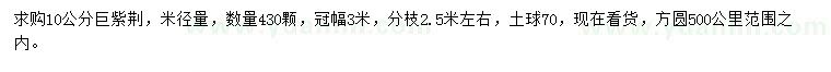 求購(gòu)10公分巨紫荊