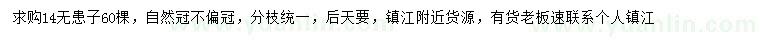 求購14公分無患子