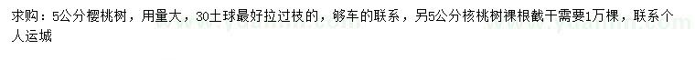 求購5公分櫻桃樹