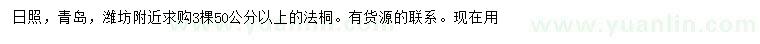 求購50公分以上法桐