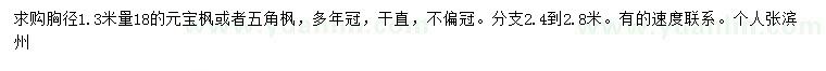 求購18公分元寶楓