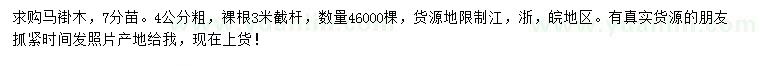 求購4公分馬褂木