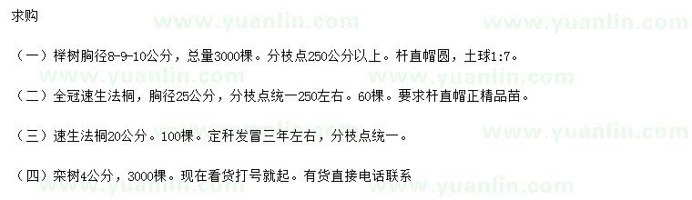 求購櫸樹、速生法桐、欒樹