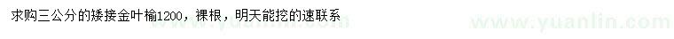 求購3公分金葉榆