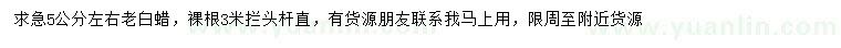 求購5公分左右老白蠟
