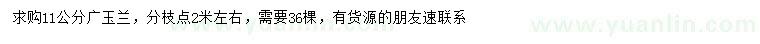 求購11公分廣玉蘭