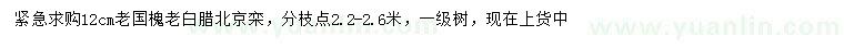 求購12公分老國槐、老白臘、北京欒