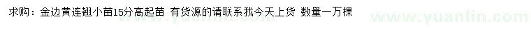 求購金邊黃連翹小苗