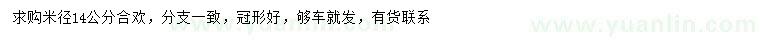 求購米徑14公分合歡